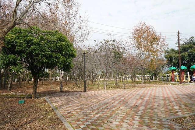 台中市中區2024新社櫻花季｜台中新社免費賞櫻景點大放送，賞櫻懶人包!