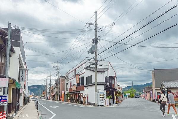 京都旅遊。天橋立 KKDay天橋立+伊根一日遊上午行程  日