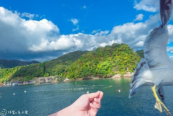 京都旅遊。伊根町  KKDay天橋立＋伊根町一日遊下半天搭船