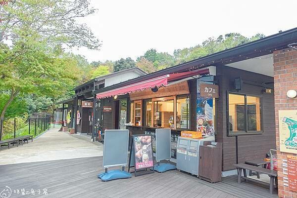 京都旅遊。天橋立 KKDay天橋立+伊根一日遊上午行程  日