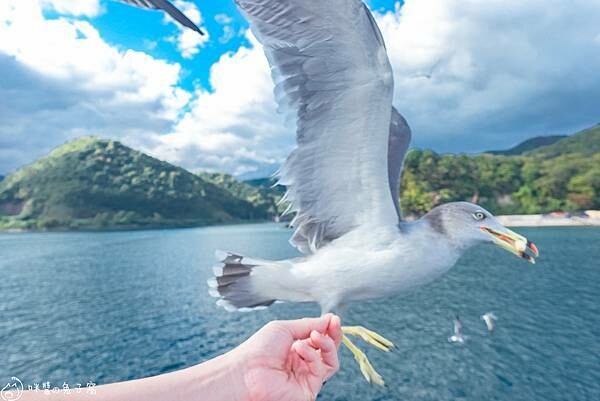 京都旅遊。伊根町  KKDay天橋立＋伊根町一日遊下半天搭船