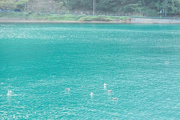 京都旅遊。伊根町  KKDay天橋立＋伊根町一日遊下半天搭船