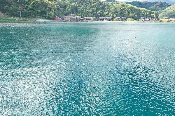 京都旅遊。伊根町  KKDay天橋立＋伊根町一日遊下半天搭船