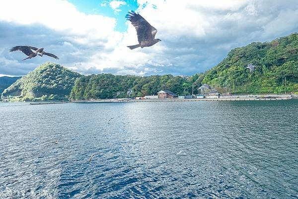 京都旅遊。伊根町  KKDay天橋立＋伊根町一日遊下半天搭船