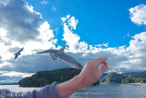 京都旅遊。伊根町  KKDay天橋立＋伊根町一日遊下半天搭船
