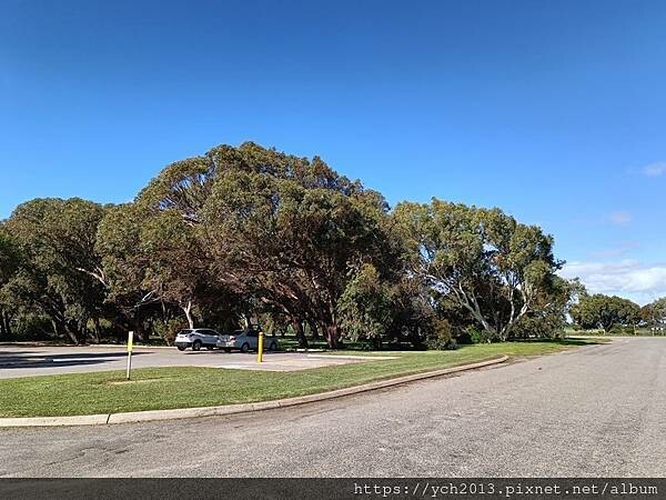 西澳旅遊/風剪樹附近Central Greenough Ca 西澳旅遊/風剪樹附近Central Greenough Ca