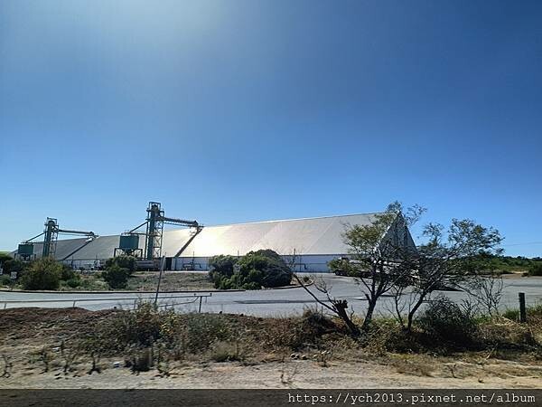 西澳旅遊/風剪樹附近Central Greenough Ca 西澳旅遊/風剪樹附近Central Greenough Ca