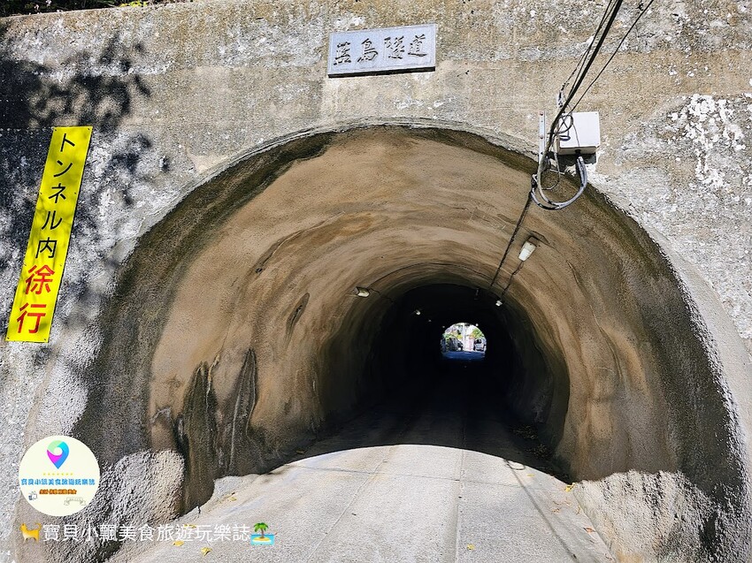 日本[旅遊]日本 福岡 漫步與可愛貓咪玩耍 北九州市小倉 藍島