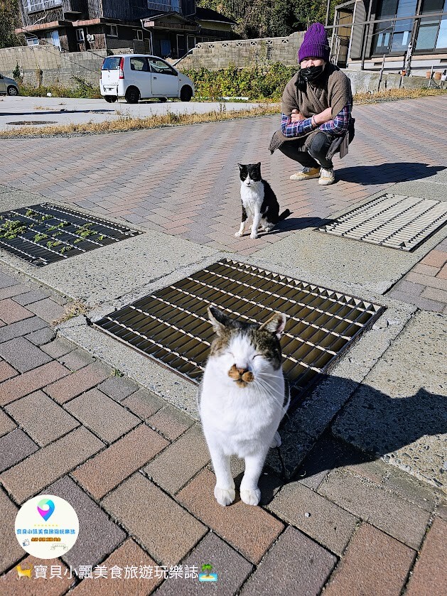 日本[旅遊]日本 福岡 漫步與可愛貓咪玩耍 北九州市小倉 藍島