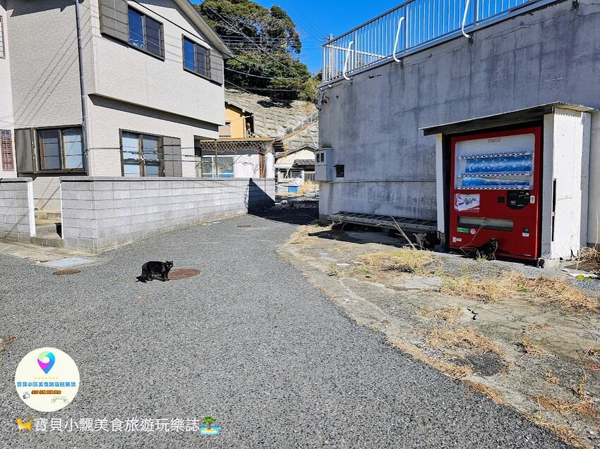 日本[旅遊]日本 福岡 漫步與可愛貓咪玩耍 北九州市小倉 藍島