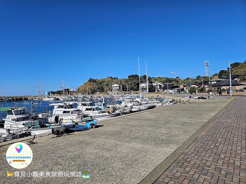 日本[旅遊]日本 福岡 漫步與可愛貓咪玩耍 北九州市小倉 藍島