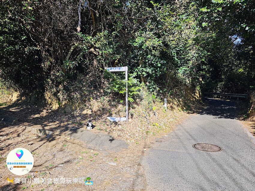 日本[旅遊]日本 福岡 漫步與可愛貓咪玩耍 北九州市小倉 藍島