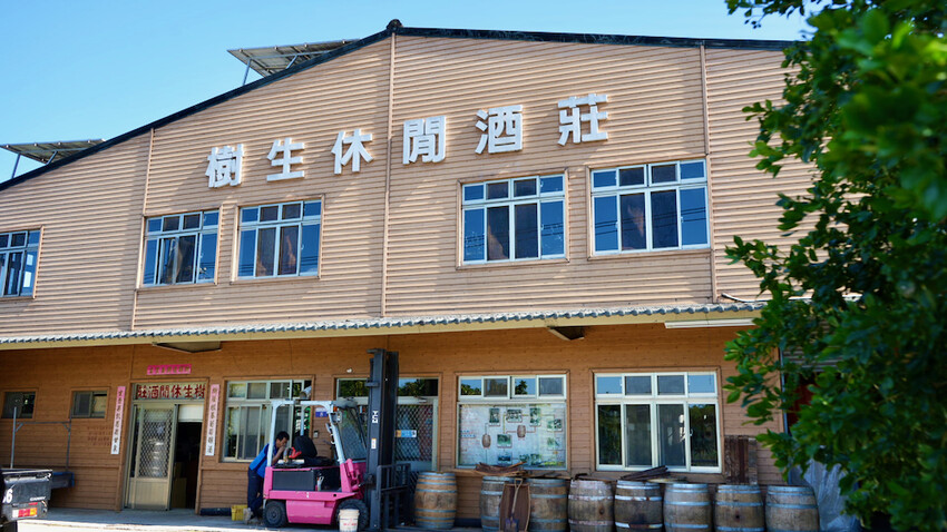 台中市外埔區[台中景點] 樹生酒莊｜一日釀酒師體驗：參觀葡萄園／熱紅酒DIY／下午茶品酒會