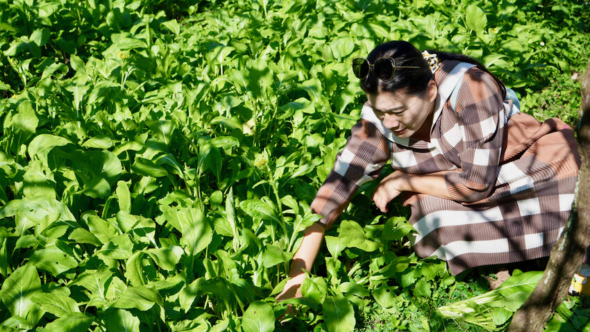 台中市外埔區[台中景點] 樹生酒莊｜一日釀酒師體驗：參觀葡萄園／熱紅酒DIY／下午茶品酒會