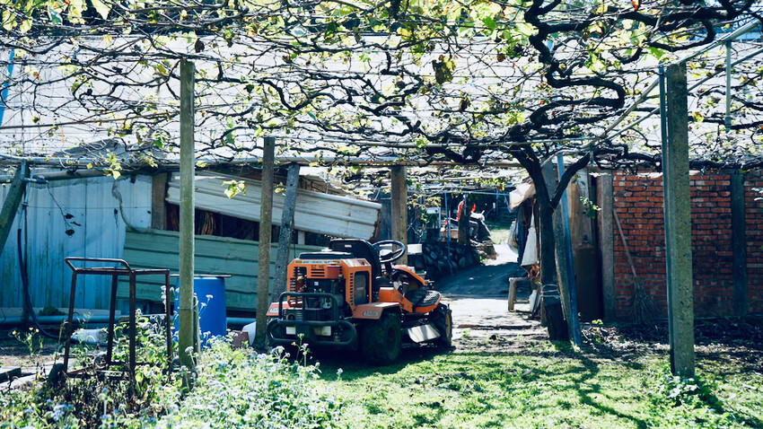 台中市外埔區[台中景點] 樹生酒莊｜一日釀酒師體驗：參觀葡萄園／熱紅酒DIY／下午茶品酒會