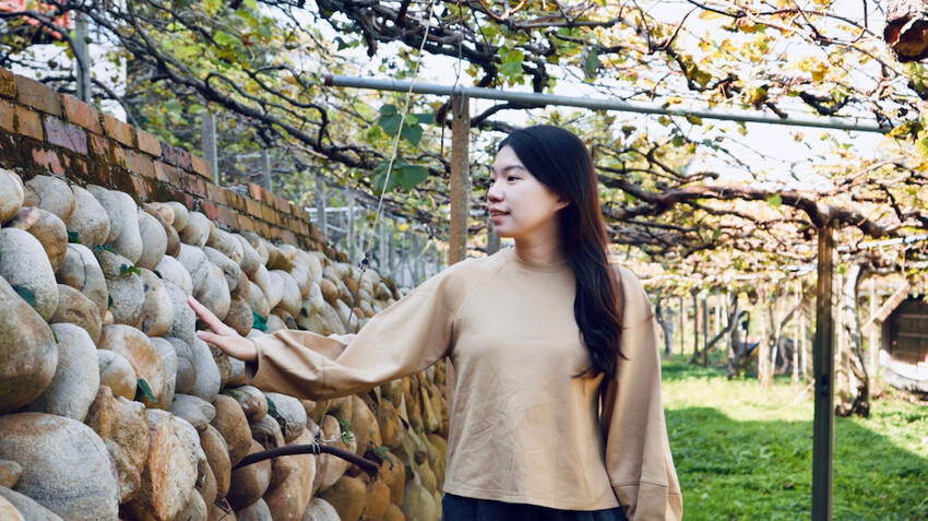 台中市外埔區[台中景點] 樹生酒莊｜一日釀酒師體驗：參觀葡萄園／熱紅酒DIY／下午茶品酒會