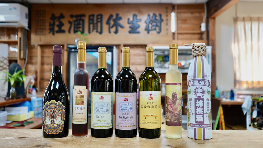 台中市外埔區[台中景點] 樹生酒莊｜一日釀酒師體驗：參觀葡萄園／熱紅酒DIY／下午茶品酒會