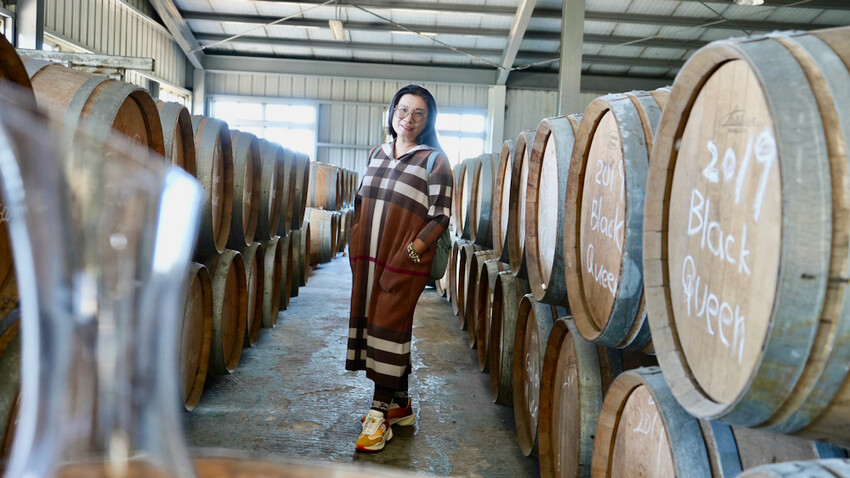 台中市外埔區[台中景點] 樹生酒莊｜一日釀酒師體驗：參觀葡萄園／熱紅酒DIY／下午茶品酒會