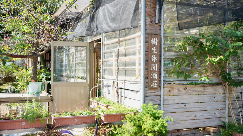 台中市外埔區[台中景點] 樹生酒莊｜一日釀酒師體驗：參觀葡萄園／熱紅酒DIY／下午茶品酒會