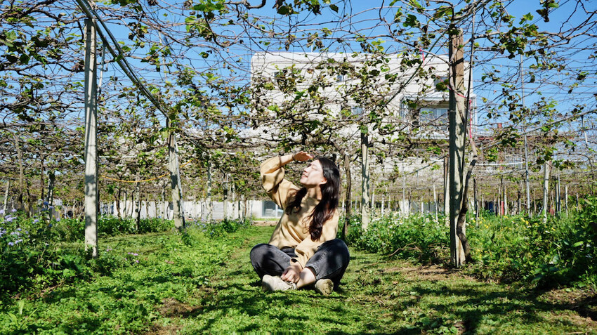 台中市外埔區[台中景點] 樹生酒莊｜一日釀酒師體驗：參觀葡萄園／熱紅酒DIY／下午茶品酒會