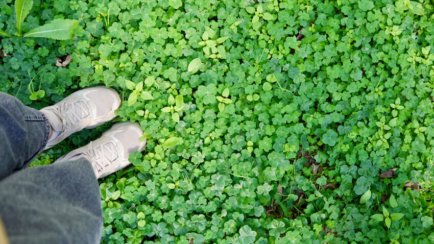 台中市外埔區[台中景點] 樹生酒莊｜一日釀酒師體驗：參觀葡萄園／熱紅酒DIY／下午茶品酒會