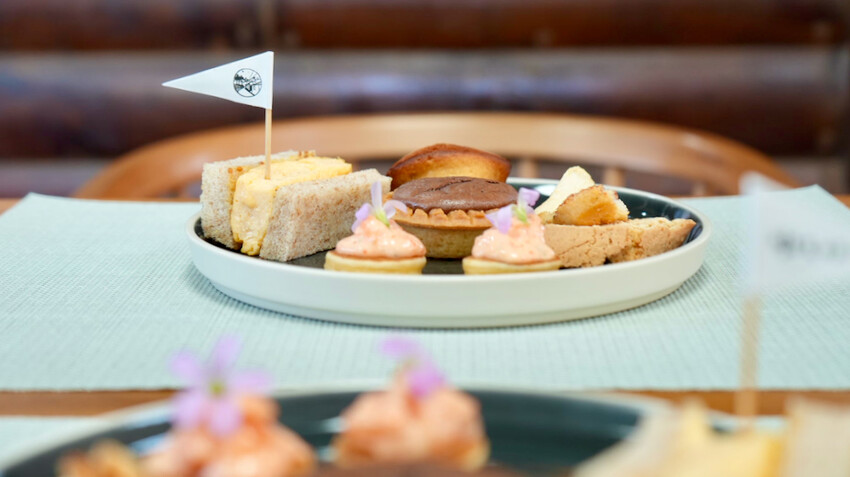 台中市外埔區[台中景點] 樹生酒莊｜一日釀酒師體驗：參觀葡萄園／熱紅酒DIY／下午茶品酒會