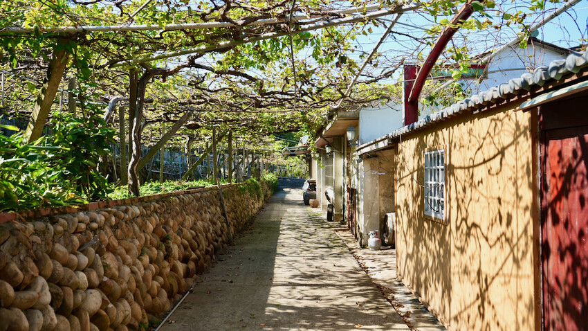 台中市外埔區[台中景點] 樹生酒莊｜一日釀酒師體驗：參觀葡萄園／熱紅酒DIY／下午茶品酒會