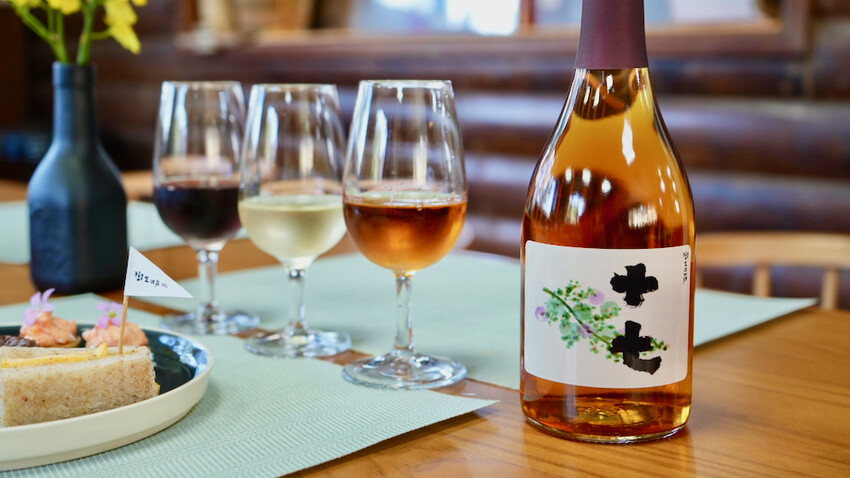 台中市外埔區[台中景點] 樹生酒莊｜一日釀酒師體驗：參觀葡萄園／熱紅酒DIY／下午茶品酒會