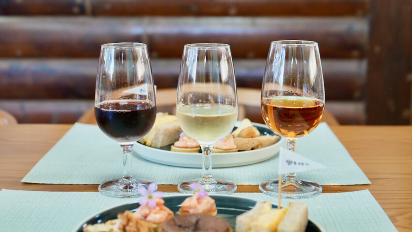 台中市外埔區[台中景點] 樹生酒莊｜一日釀酒師體驗：參觀葡萄園／熱紅酒DIY／下午茶品酒會