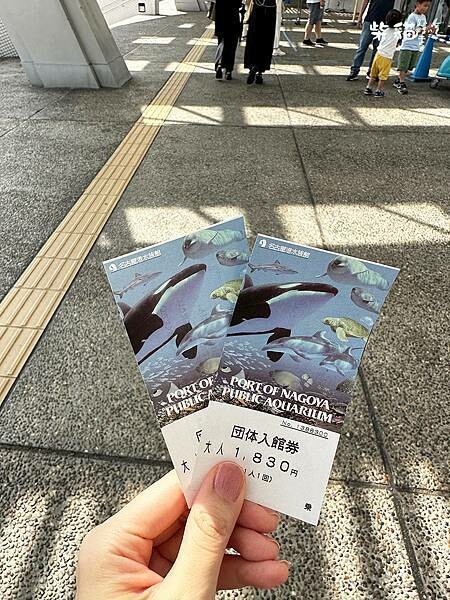 【名古屋】名古屋港水族館｜海豚秀必看，還有牡蠣尋找珍珠活動｜