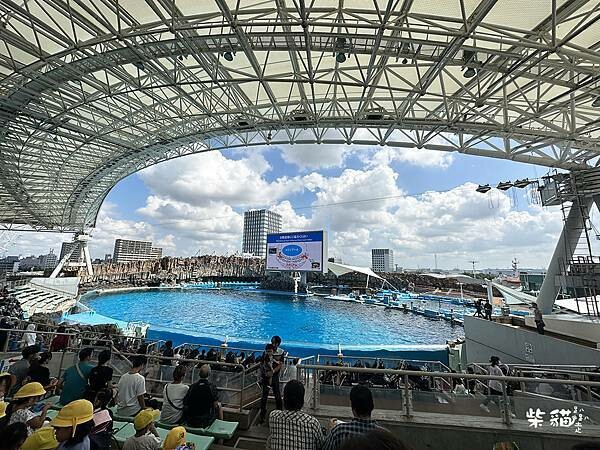 【名古屋】名古屋港水族館｜海豚秀必看，還有牡蠣尋找珍珠活動｜