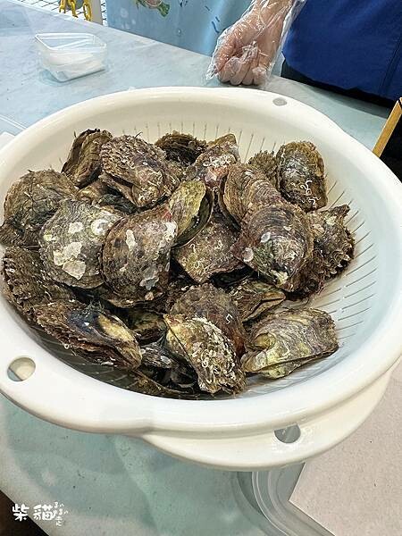 【名古屋】名古屋港水族館｜海豚秀必看，還有牡蠣尋找珍珠活動｜