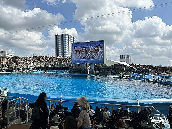 【名古屋】名古屋港水族館｜海豚秀必看，還有牡蠣尋找珍珠活動｜