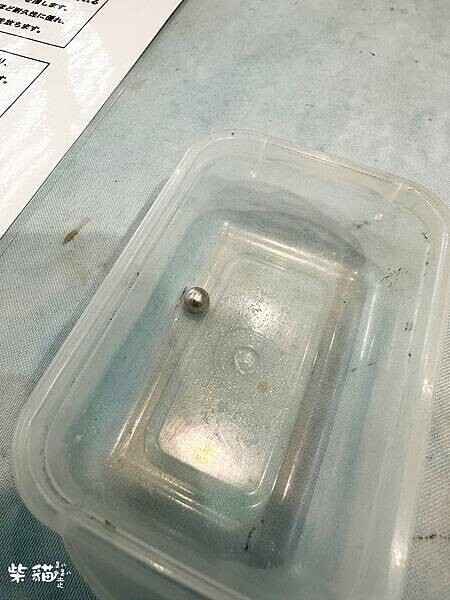 【名古屋】名古屋港水族館｜海豚秀必看，還有牡蠣尋找珍珠活動｜