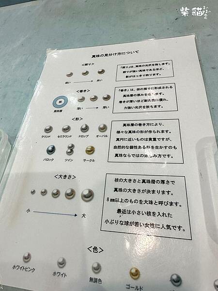 【名古屋】名古屋港水族館｜海豚秀必看，還有牡蠣尋找珍珠活動｜