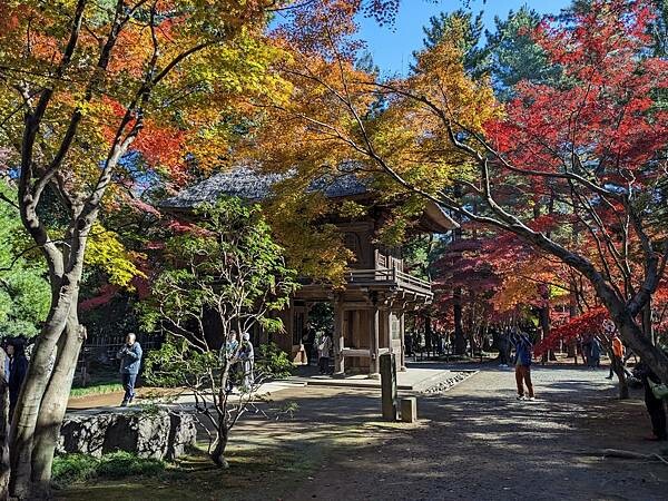 埼玉紅葉-平林寺