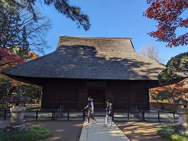 埼玉紅葉-平林寺
