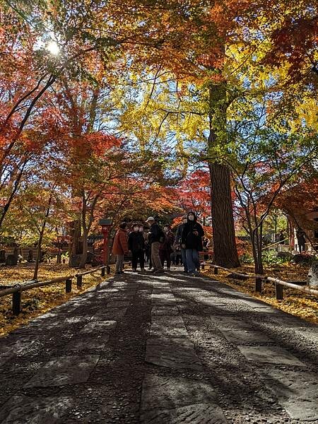 東京紅葉-九品佛淨真寺