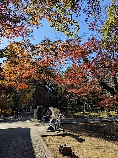 東京紅葉-九品佛淨真寺
