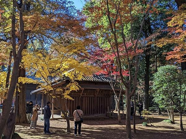 埼玉紅葉-平林寺