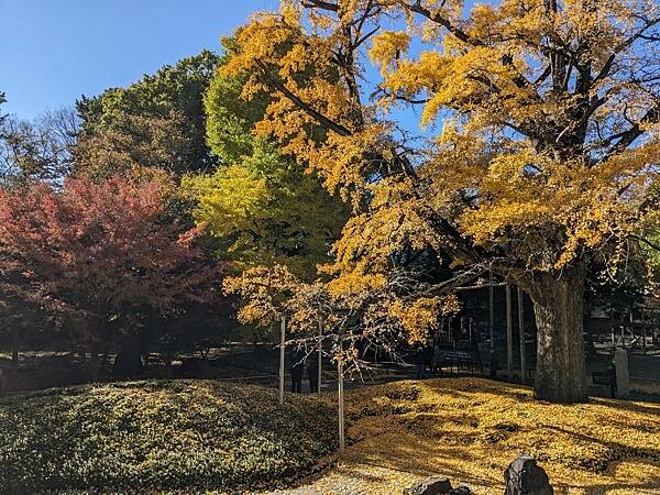 東京紅葉-九品佛淨真寺
