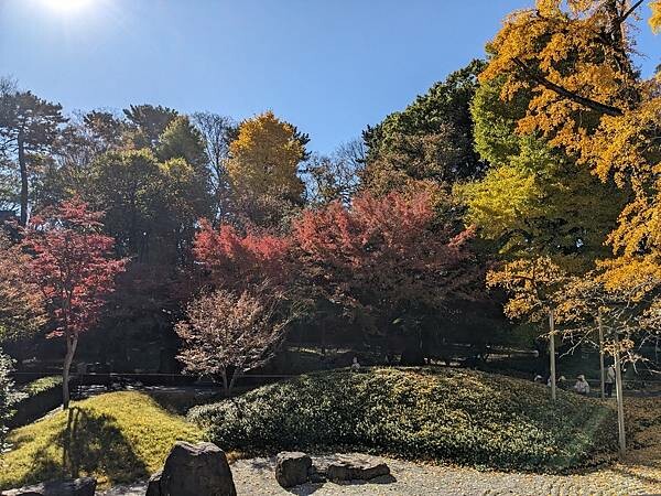 東京紅葉-九品佛淨真寺