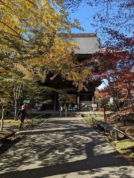 東京紅葉-九品佛淨真寺