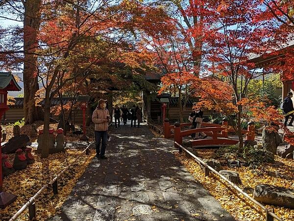 東京紅葉-九品佛淨真寺