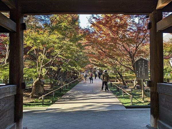 東京紅葉-九品佛淨真寺