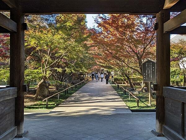 東京紅葉-九品佛淨真寺
