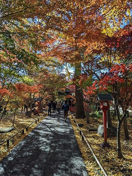 東京紅葉-九品佛淨真寺