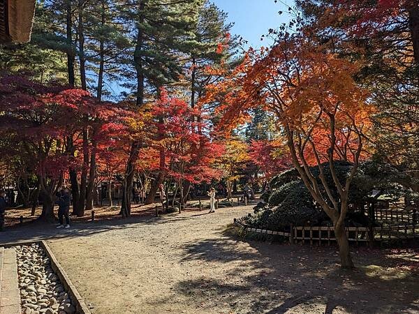 埼玉紅葉-平林寺