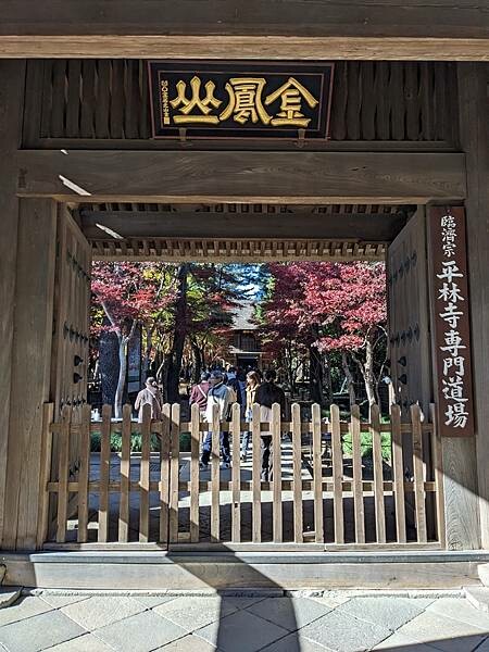 埼玉紅葉-平林寺