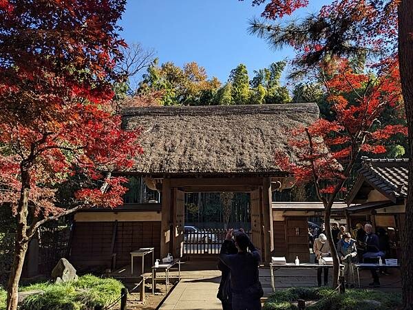 埼玉紅葉-平林寺